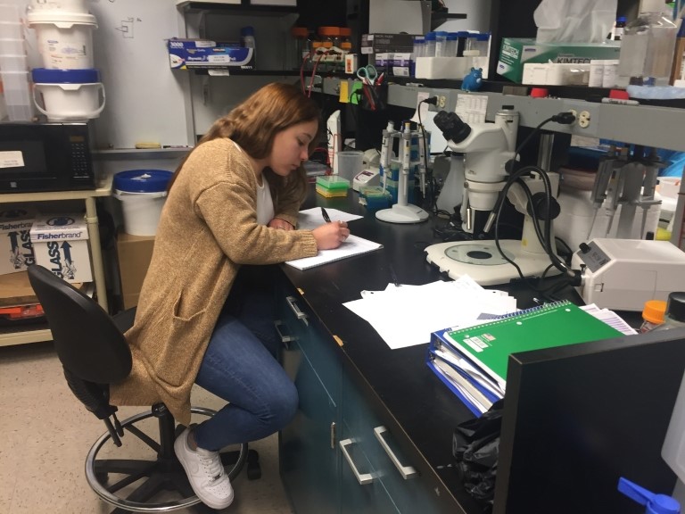 A new student-focused initiative is underway to increase the numbers of underrepresented minorities and women in neuroscience research. Photo by Rich Schneider, Indiana University