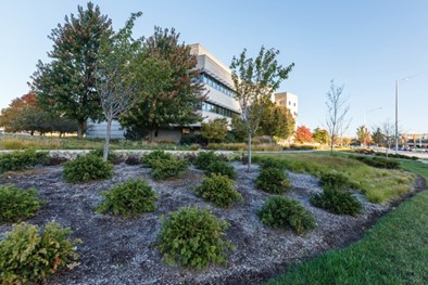 A building at IUPUI.