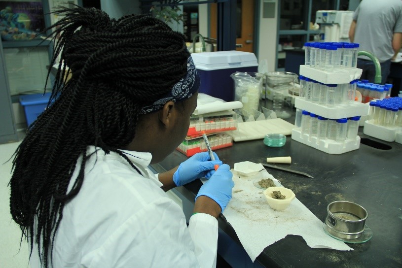 Isheka Orr analyzes dust in the Filippelli lab. Orr, from Claflin University. is participating in IUPUI's Diversity Summer Undergraduate Research Opportunity Program.